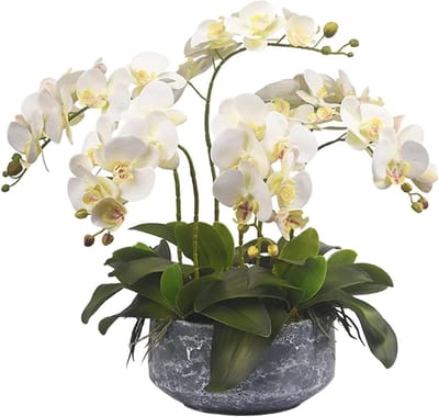 Kunstorchidee met vaas - Nep bloemen - Huisdecoratie - Zijden bloemblaadjes - 60 cm hoog - Wit