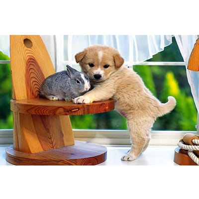 5D DIY Diamond Painting Hond en konijn Borduren Kruissteek Strass Mozaïek Home Decor 20X30CM beige