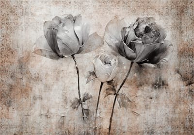 Fotobehang - Bloemen - Rozen - Structuur - Bloem - Planten - Vliesbehang- 254x184cm (lxb)