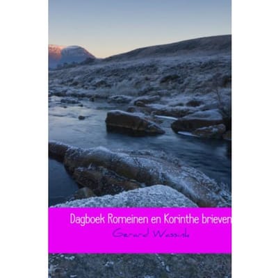 Dagboek Romeinen En Korinthe Brieven - Gerard Wassink