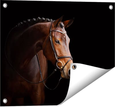 Gards Tuinposter Bruin Paard op een Zwart Achtergrond - 50x40 cm - Tuindoek - Tuindecoratie - Wanddecoratie buiten - Tuinschilderij