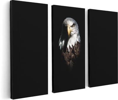 Artaza Canvas Schilderij Drieluik Adelaarkop - Adelaar - 120x80 - Foto Op Canvas - Canvas Print