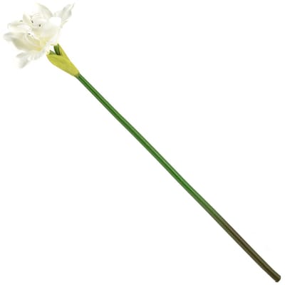 HomeBound by KY | Kunstbloem amaryllis wit | kunstbloem | kunstbloem amaryllis