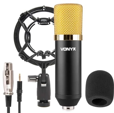 Condensator Studio Microfoon met Shockmount