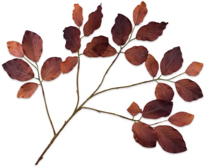 Silk-ka Kunstbloem-Zijden Bloem-Kunsttak Bladtak Bruin 78 cm