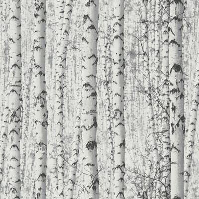 BERKENBOS BEHANG | Bomen - wit grijs zwart - A.S. Création PintWalls II