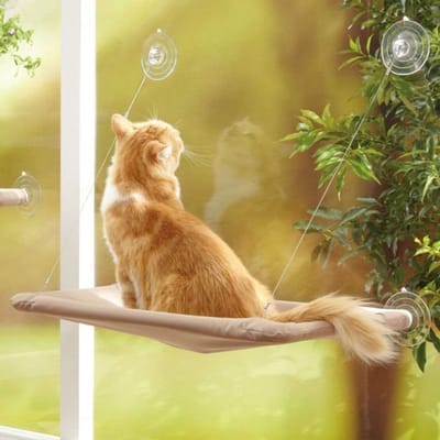Zijdevenster Kattenhangmat voor Katten, Hangbed met Zuignap, Comfortabel en Duurzaam, Ideaal voor Binnengebruik en Ontspanning (55 x 32cm)