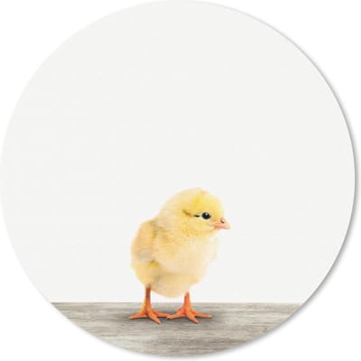 Muismat rond 20x20 cm - Mousepad Dieren - Kuiken - Geel - Ronde muismatten