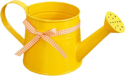Moderne plantengieter - Slanke kruik - Planten water geven - Gerichte tuit - 1 liter - Geel