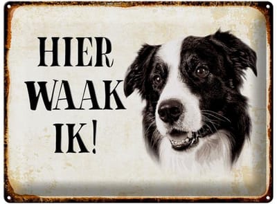Metalen bord 40x30cm hollands Hier Waak ik Border Collie decoratie