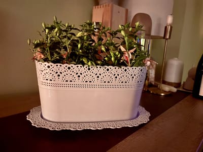 1+1 Sierlijke bloempotten met kanteffect wit ovale bloembak 3.7L + schaal bloembakken