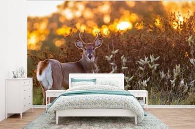Behang - Fotobehang Hert - Planten - Zonsondergang - Wilde dieren - Natuur - Breedte 400 cm x hoogte 300 cm
