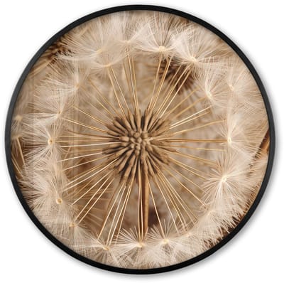 Poster in lijst Rond - Fotolijst 60x60 cm - Posters - Paardenbloem - Bloemen - Natuur - Bruin - Ronde posterlijst zwart - Decoratie - Wanddecoratie woonkamer - Muurdecoratie slaapkamer