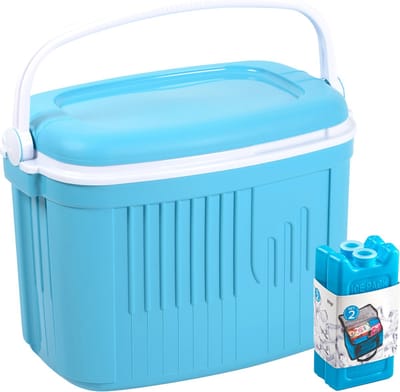 Koelbox met koelelementen - 42 liter - kunststof - blauw - 56 x 37 x 42 cm