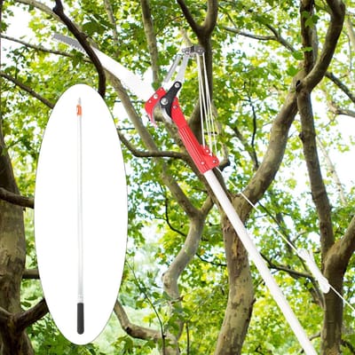 Telescopische Snoeischaar - Paalschaar Tuin - Hoge Takken Snoeien - Lichtgewicht Aluminium - Tot 7 Meter - Zilver