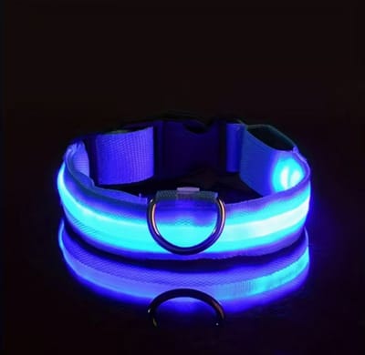 Rieba® Halsband Hond LED USB Oplaadbaar - Lichtgevende Hondenhalsband - 3 Standen - Lichtgevend - Zeer Sterk - Verstelbaar - Geschikt voor elke Hondenriem - Honden - Inclusief Oplaadkabel - Blauw - S