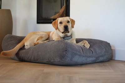 Dog's Companion Hondenkussen / Hondenbed - S - 70 x 50 cm - Muisgrijs Giant Ribcord