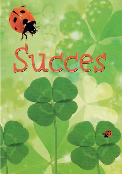Succes! Een leuke kaart waar klavertjes vier op staan en een lieveheersbeestje. Een geschikte kaart om zo te geven aan iemand of om bij een cadeau te voegen. Een dubbele wenskaart inclusief envelop en in folie verpakt.
