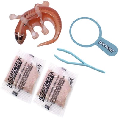 DISSECT-IT Ontleed een Salamander met Vergrootglas