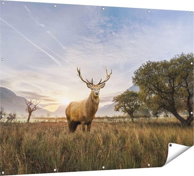 Gards Tuinposter Hert in het Landschap - 160x120 cm - Tuindoek - Tuindecoratie - Wanddecoratie buiten - Tuinschilderij