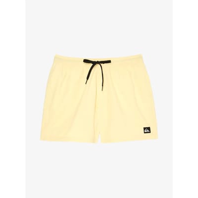 Quiksilver Everyday Solid Volley 15 Boardshorts