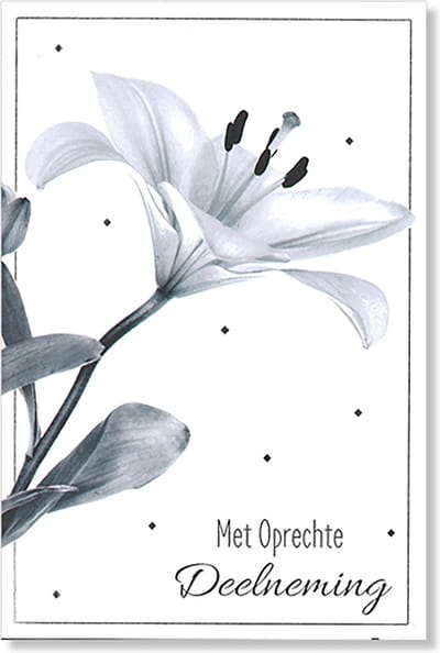MGPcards - 6 Luxe dubbele wenskaarten - Deelneming - Foliedruk - FSC-keurmerk - 11,5 x 17 cm