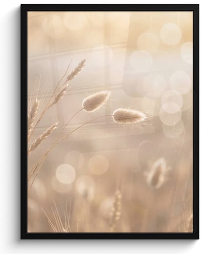 Poster in lijst - Fotolijst 60x80 cm - Posters - Hazestaartgras - Graanharen - Zonlicht - Posterlijst zwart - Decoratie - Wanddecoratie woonkamer - Muurdecoratie slaapkamer