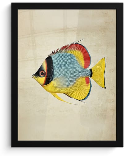 Poster in lijst - Fotolijst 30x40 cm - Posters - Kleurrijk - Vis - Schubben - Illustratie - Posterlijst zwart - Decoratie - Wanddecoratie woonkamer - Muurdecoratie slaapkamer