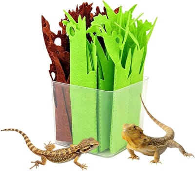 Terrarium Luchtbevochtiger - Vochtigheidsimiterende Nepplant - Reptielen Habitat - Natuurlijke Verdampingstechnologie - 17 x 8 x 8 cm - Groen