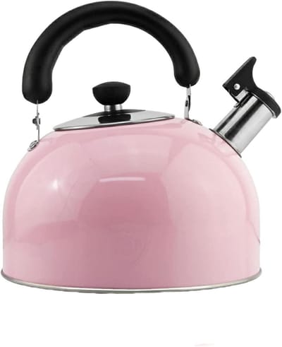 Waterkoker Roze - Fluitketel Roestvrijstaal - Koken en Serveren - Automatisch Fluit Signaal - 20.5 x 20 cm - Roze