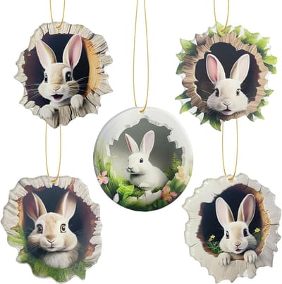 Thijox - 5 Stuks Paashaas Acryl Hangers voor Pasen, Schattige Ornamenten voor Deurdecoratie, Duurzame Paasdecoratie voor Binnen en Buiten, Paascadeau