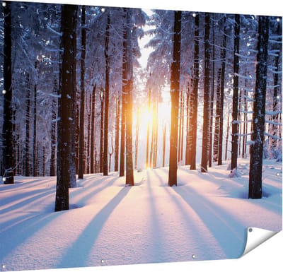 Gards Tuinposter Bos met Sneeuw tijdens de Zonsondergang - 150x120 cm - Tuindoek - Tuindecoratie - Wanddecoratie buiten - Tuinschilderij