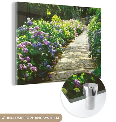 ® Glasschilderij 160x120 cm - Schilderij acrylglas - Voetpad omgeven door hortensia - Foto op glas - Muurdecoratie woonkamer - Wanddecoratie slaapkamer - Schilderijen