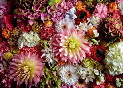 Bloemen Puzzel - Bloemen Legpuzzel - Ontspannen Hobby - Botanische Sculpturen - 1000 Stukjes - Wit