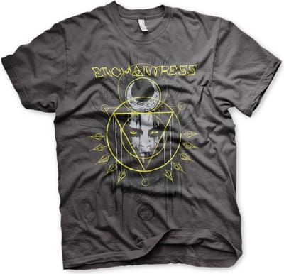 DC Comics Suicide Squad Heren Tshirt -M- Enchantress Grijs