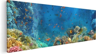 Artaza Canvas Schilderij Koraalrif - 60x20 cm - Wanddecoratie Tropische Vissen - Muurdecoratie Zee - Schilderijen Op Canvas