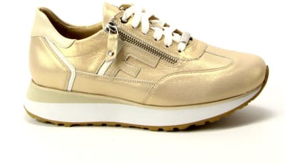 FOOTNOTES brons