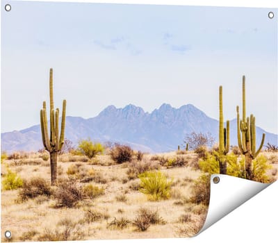 Gards Tuinposter Cactussen in de Woestijn - 80x60 cm - Tuindoek - Tuindecoratie - Wanddecoratie buiten - Tuinschilderij