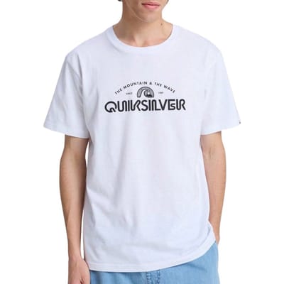 Quiksilver Ev Vista Shirt Heren - Maat L