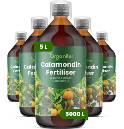 Vloeibare Meststof Voor Calamondin 5X1 L Voor 5000 L - Npk 2-1-8 - Calamondin Citrus - Krachtige Groei - Bloei - Vruchtzetting - Rijke Oogst - Sterk Wortelstelsel - Stressbestendi - Lange Bloeiperiode - Organifer