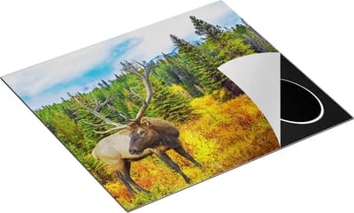 Chefcare Inductie Beschermer Hert in de Herfst Bos - 60x50 cm - Afdekplaat Inductie - Kookplaat Beschermer - Inductie Mat