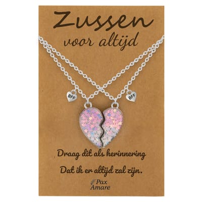 BFF Ketting voor 2 'Zussen voor altijd' - Magnetisch Hartje - Vriendschapsketting op Cadeau Kaartje - 45cm + 5cm verstelbaar - Zilverkleurig - Sisters Hanger - Pax Amare
