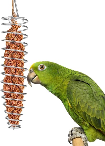 Foerageer feeder voor vogels - Houd fruit, groente en zaden interessant