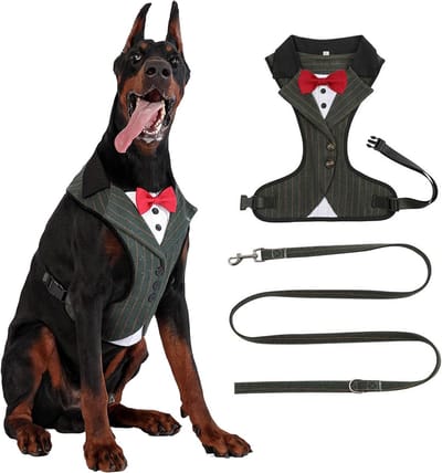 Formele gestreepte hondenjurk voor middelgrote en grote honden met vlinderdas, perfect voor bruiloften, verjaardagen en speciale gelegenheden, maat L