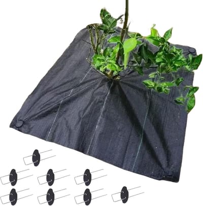 Tuin Vliesdoek - Grasbestrijding Doek - Bodem Bescherming - Met Grondspijkers - 120x120cm - Zwart