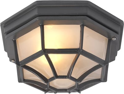 QAZQA bri - Landelijke Plafondlamp voor buiten - 1 lichts - Ø 265 mm - Donkergrijs - Buitenverlichting