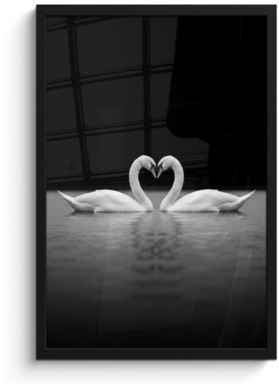 Poster in lijst - Fotolijst 40x60 cm - Posters - Zwanen - Hart - Zwart - Wit - Posterlijst zwart - Decoratie - Wanddecoratie woonkamer - Muurdecoratie slaapkamer