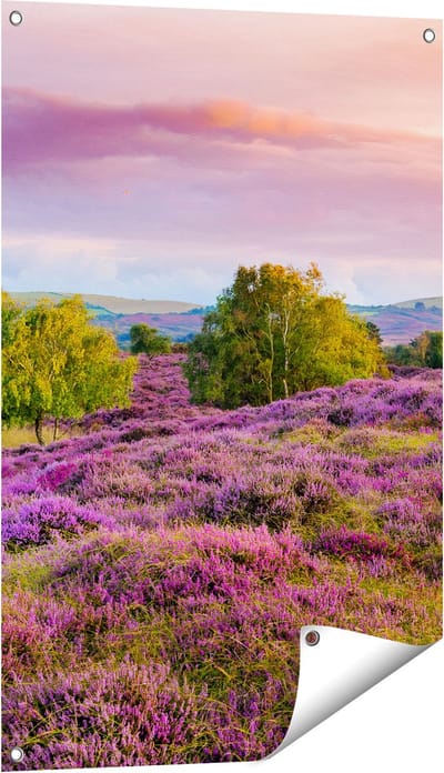 Gards Tuinposter Paarse Weide - 60x90 cm - Tuindoek - Tuindecoratie - Wanddecoratie buiten - Tuinschilderij
