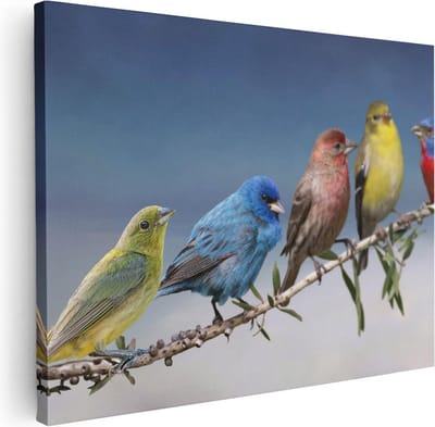 Artaza Canvas Schilderij Kleurrijke Vogels - 40x30 cm - Klein - Wanddecoratie Natuur - Muurdecoratie Vogels Op Tak - Kamer Accessoires