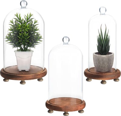 Glazen Stolp Potten Set met Houten Basis - Klein, Middel en Groot - Decoratieve Tafeltop Displays voor Verzamelobjecten en Planten